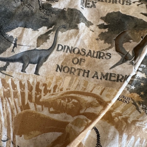 Retrolicious Dinosaur Paleo Map Knee Length Skirt - Picture 3 of 10